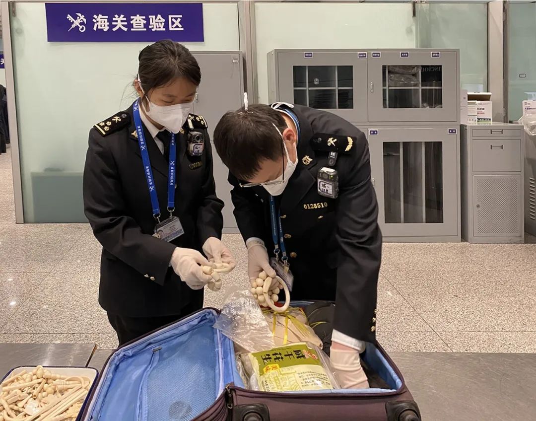 微信图片_20230624072402.jpg