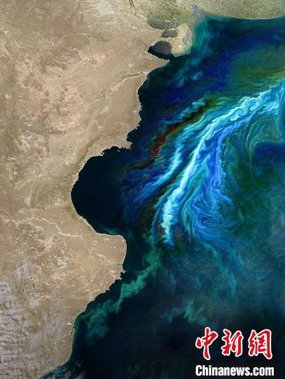 加剧的近海浮游植物水华1(图片来自冯炼)。　施普林格·自然 供图