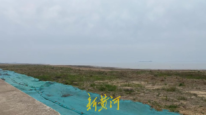 民间环保组织诉连云港湿地修复项目破坏生态，立案一年收到“中止诉讼”裁定